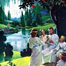 Artist Harry Anderson