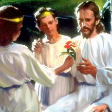Artist Harry Anderson