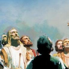 Artist Harry Anderson