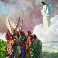 Artist Harry Anderson