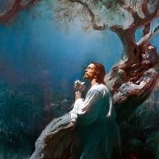 Artist Harry Anderson