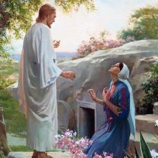 Artist Harry Anderson