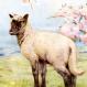edward-j-detmold