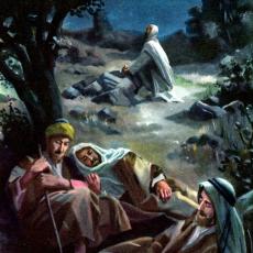 Images of Jesus by S.W. Donnison