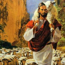 good_shepherd_zoom