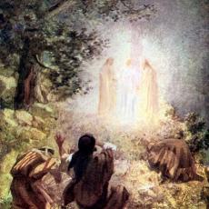 hole_transfiguration