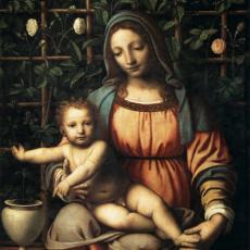 bernardino-luini-03