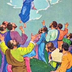The Life of Jesus Christ by Viola Ruth Lowe