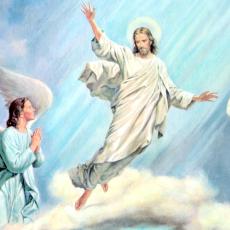 The Passion of Jesus Christ by William Luberoff