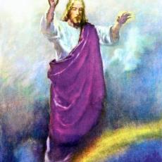 The Ascension of Jesus Christ by Thomas Nelson