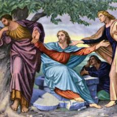 frederick-james-shields-03