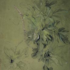 1900-35