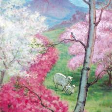 spring-of-grace