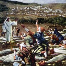 tissot-lepers