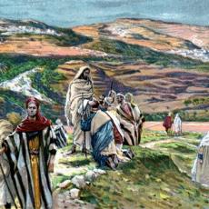 tissot_72sent_01