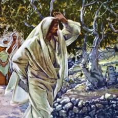 tissot_fig-tree-cursed