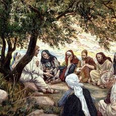 tissot_teaching2